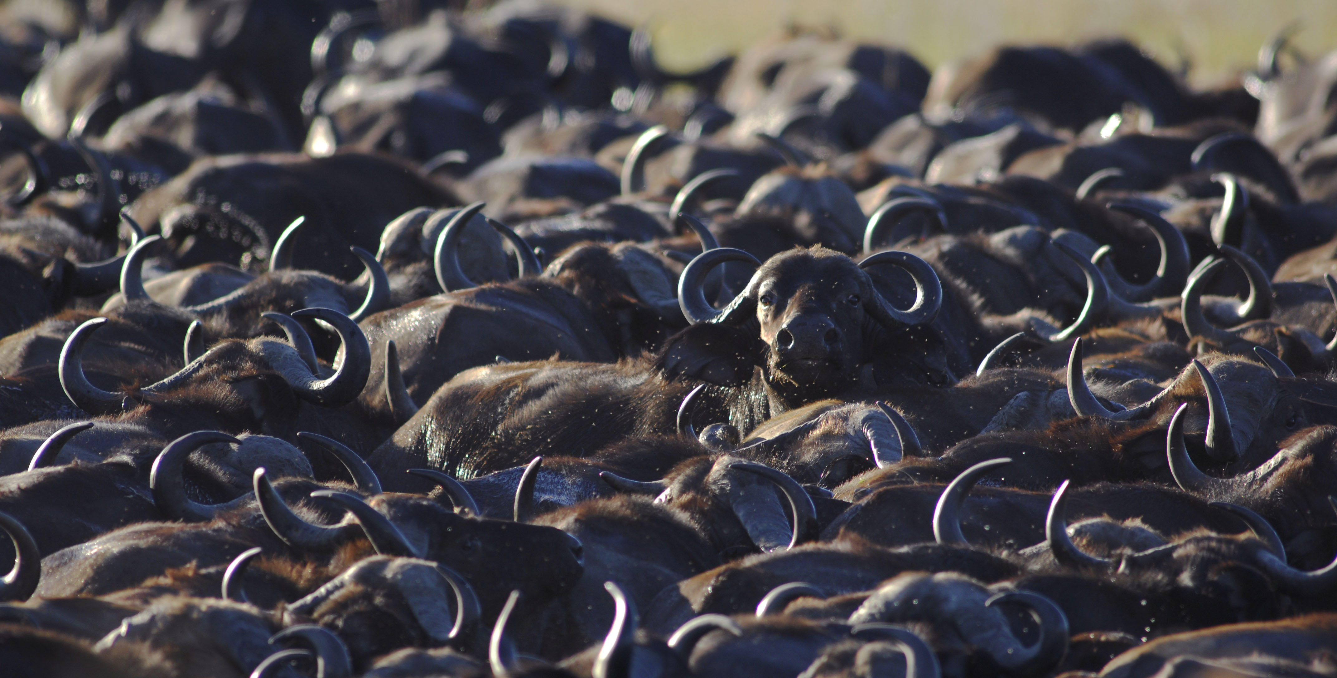 How to Stick Out from the Crowd in the Uber Engineering Interview Process 如何从Uber工程面试过程中伸出人群中