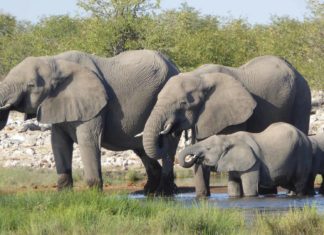 Uber’s Big Data Platform: 100+ Petabytes with Minute Latency