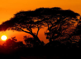 Year in Review: 2018 Highlights from Uber Open Source