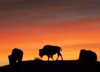 Year in Review: 2019 Highlights from the Uber Engineering Blog