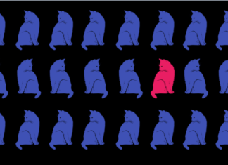 Monitoring Data Quality at Scale with Statistical Modeling 24只猫都是紫色的,只有一只是红色的