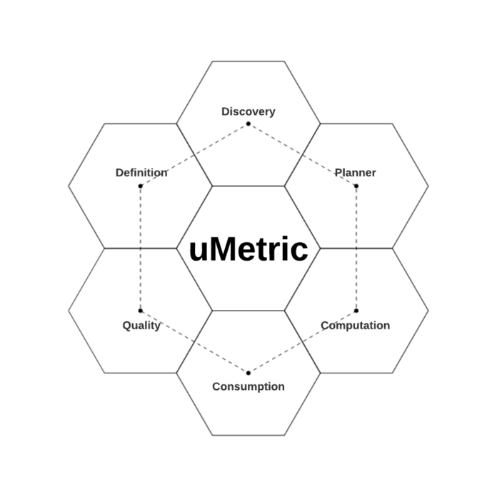 The Journey Towards Metric Standardization